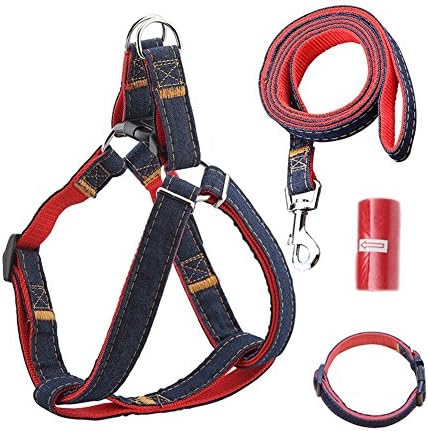 Dog Leash Harness Adjustable Durable Leash Set Heavy Duty Denim Pet Leash Collar for Dogs of All Sizes Perfect for Daily Training Walking Running (Small, Red)