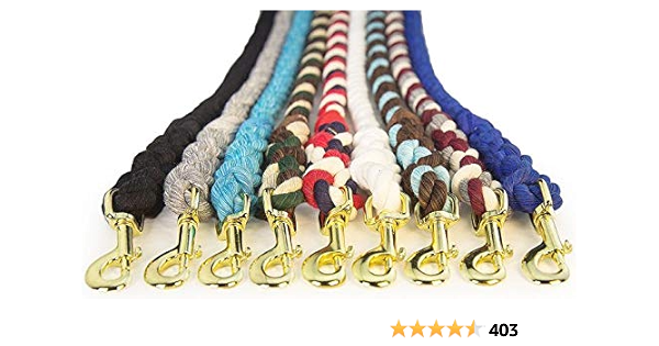 25 ft dog leash