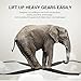 Moving Straps, myfree 2-Person Lifting and Moving Straps Moving Straps Shoulder, Lift, Carry, and Secure Furniture, Appliances, Heavy, Bulky Objects - Hands Free, Safe, Easy Moving[Upgraded]