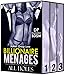 EROTICA:BILLIONAIRE FOURSOME MMMF ROMANCE SEX STORIES MMFM MFM MENAGE-Big Rough Alpha Male: 3 Dominant Men Group DP Pleasure Books (One Kinky Fetish Desire Penetrate Book 1)