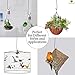 SunGrow S-Shaped Metal Hangers, Black Hook Stakes for Bird Feeder, Birdhouse, Outdoor Decor, Air Plant Orbs, Lights, Lanterns, Flower Baskets and More, Heavy-Grade Stainless Steel, 4 Packthumb 1