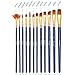 Dainayw Paint Brushes, Acrylic Paint Brush Set for Art Painting, Watercolor, Oil, Rock, Fabric, 12 Pieces