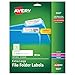 Avery TrueBlock Extra Large File Folder Labels, 15/16