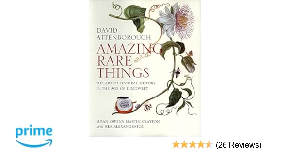 Amazing Rare Things The Art Of Natural History In The Age Of