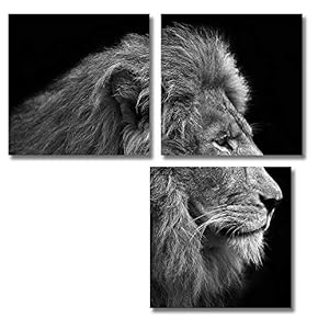 3 Piece Canvas Wall Art for Living Room Bedroom Home Artwork Animal Paintings Ready to Hang - 12"x12"x3 Panels