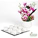 Kisco White Unscented Tea Light Candles - 8 Hour Long Burning Tealight Votive Candles - Bulk Pack of 50 for Home Decoration