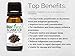 Biofinest Agarwood (Oud) Essential Oil - 100% Pure Therapeutic Grade - Best For Aromatherapy - For Meditation, Spiritual Tranquility - FREE E-Book (10ml)