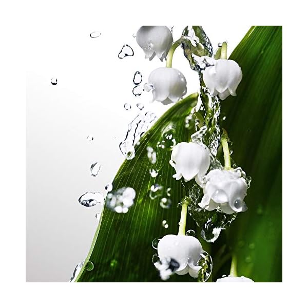 DAVIDOFF-Cool-Water-Woman-Eau-de-Toilette DAVIDOFF Cool Water Woman Eau de Toilette