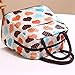 IEason Tote Lunch Bag, Portable insulated Picnic Lunch Bag Tote Zipper Organizer LunchBox
