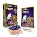 NATIONAL GEOGRAPHIC Gemstone Dig Kit - Excavate 3 real gems including Amethyst, Tiger's Eye & Rose Quartz - Great STEM Science gift for Mineralogy and Geology enthusiasts of any age primary