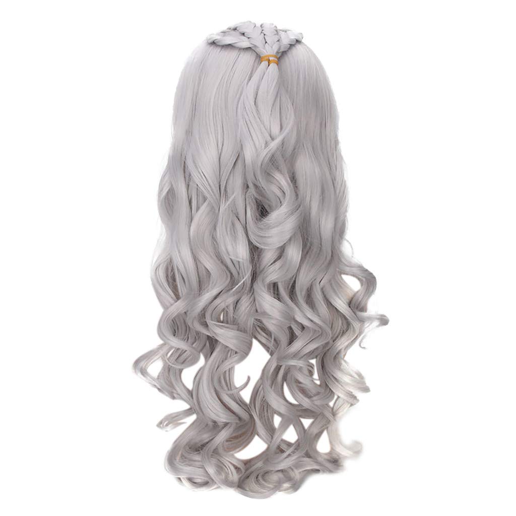 Amazon Com Women S Long Light Gray Braided Fashion Wig Fluffy