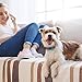 Anti Bark Collar Small to Medium Dog Rechargeable - Non Shock No Bark Device, Pain-Free, Safe, Ultrasonic Vibration - Dog Training Collars for Barking and Behavior - with USB Cord and Colorful Tags