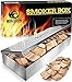 Smoker Box for Wood Chips - Use a Gas or Charcoal BBQ Grill and Still Get That Delicious Smoky Barbecue Flavored Grilled Meat - Brushed Finish Stainless Steel (brushed finish stainless steel)