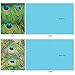 The Best Card Company - Boxed Set of 10 Bird Thank You Notecards with Envelopes 4 x 5.12 inch, Feathered Animal Gratitude - Fancy Feathers M3003