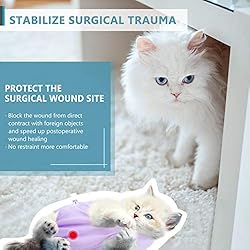 SUNFURA Cat Recovery Suit, Cat Onesie for Cats