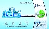 ICE-cubed Cooling Towelettes (Refreshing Mint)