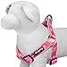 Blueberry Pet 5 Colors Soft & Comfy Step-in Paisley Flower Print Dog Harness, Chest Girth 15.5