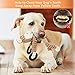 Dog Squeaky Chew Toys Durable 3 Pack Toys Set for Puppy Small Medium Large Dogs Playing Making Fun- Monkey, Bear and Bull