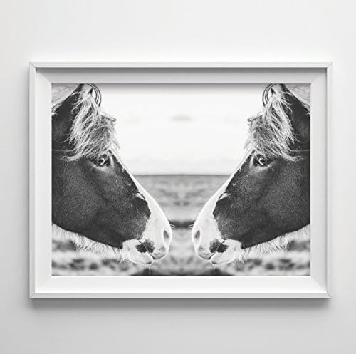 "Mirrored Horse, Open Field" Art Print Photography 8x11.5