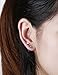 Besteel 20 Pairs Stainless Steel Black Stud Earrings for Men Women Cool CZ Earring Set Ear Jewelry 3-6mm (F:6 Pairs Round)