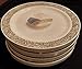 Disposable Plastic Plates Premium Quality Ivory and Gold Dinnerware With Golden Lace Rim Excellent for Weddings Baby and Bridal Showers Parties and More Heavy Duty Ten Inches Plate Forty Count