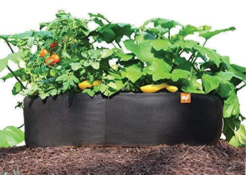 Victory 8 Garden Cama levantada Aeroflow Tela Raised Maceta de ...