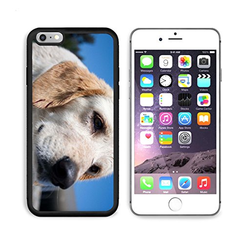 MSD Premium Apple iPhone 6 Plus iPhone 6S Plus Aluminum Backplate Bumper Snap Case iPhone6 Plus IMAGE ID: 6254422 very sad homeless puppy with blue sky in background