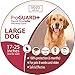 Flea Tick Collar - LARGE DOG - ProGuard Plus II (safe pet protection from pest bites infestations larvae lice mosquitoes)