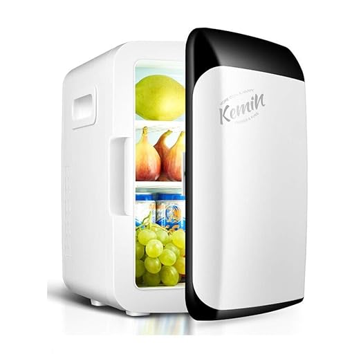 Mini refrigerador Caja eléctrica eléctrica fría y caliente 10L ...