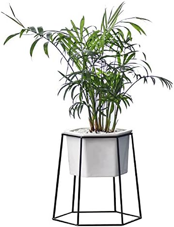 Golden/ Black Geometric Desktop Simple Iron Art Hexagonal Rack Stand with White Ceramic Flower Pot Succulent Planter Container Vase for Scindapsus Aureus Flower (Black stand with white pot)