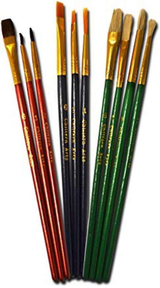 10 Paint Brushes Synthetic,Natrual Hair and Bristle