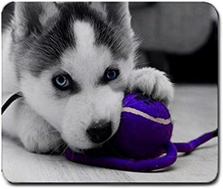 1 X Siberian Husky Pup Playing with Purple Ball Mouse Pad