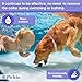 Dog Flea and Tick Collar - Flea and Tick Prevention for Dogs Easily Adjustable and Waterproof for Large Small Dogs Flea Tick Collar Natural Flea Tick Control Collar Dogs Flea Treatment 1 Year