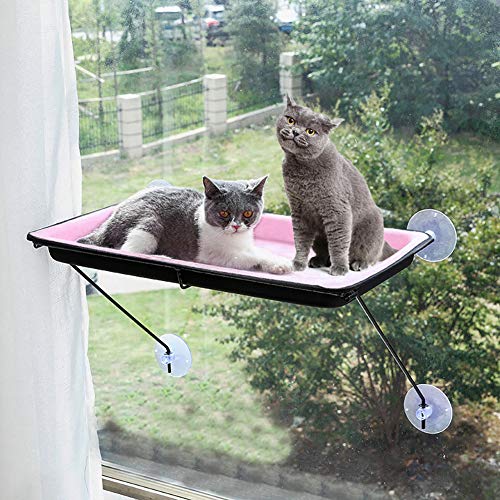 Rednut Cat Bed,360°Sunbath cat Window hammocks for Indoor Cats,Cat