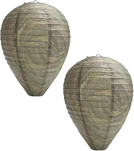 Zcymoder Nido Di Vespe Protezione Contro Le Vespe Calabroni Favo Un Nido Di Vespe Per Repellente