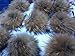 Roniky Real Raccoon Fur Pom Pom Luxurious Fur Balls for Knitted Cap Winter Beanies Real Fur Accessories (2)