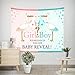 DPIST Gender Reveal Party Decorations Supplies Photo Booth Backdrop for Pictures Baby Shower Birthday Party Decorations Studio Props Tapestry