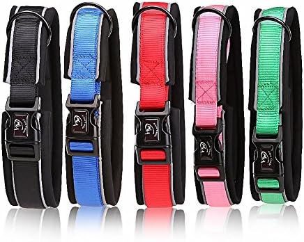 Pet Collars for Small Dogs by Glow Castle Basic Polyester Nylon Collar Lead Harness for Dog(Blue)