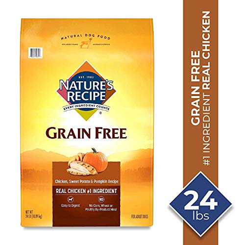Nature's Recipe Grain Free Easy to Digest Dry Dog Food, Chicken, Sweet Potato & Pumpkin Recipe, 24-Pound