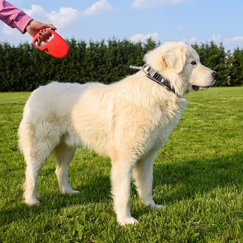 Trela retrátil para cães grandes Flippy One Tape L, trela extensível 5 m, máximo 50 kg, vermelha