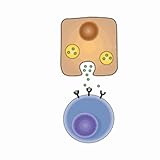 Biochemistry Lippincott's Illustrated Q&A Review
