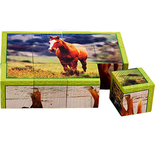 Stages Learning Wooden Cube Puzzle