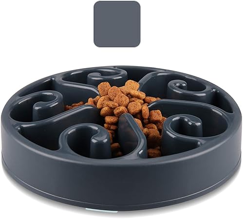 amazon cat slow feeder