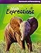 Math Expressions: Homework And Remembering Consumable Volume 2 Level 3