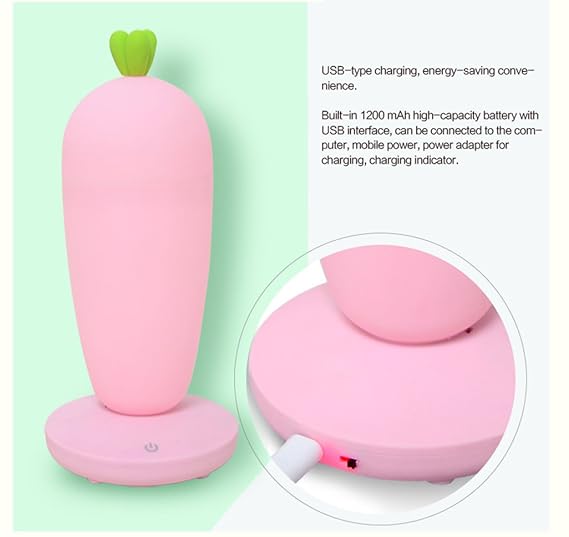 QRFDIAN Muchacha del corazón suave hermana habitación decoración de ...