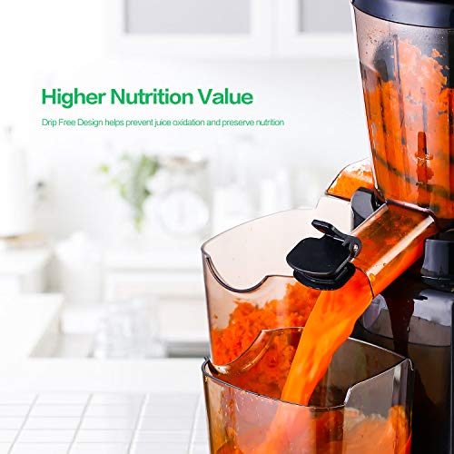 ROVKA Masticating Juicer with Quiet Motor, Slow Juice Extractor for