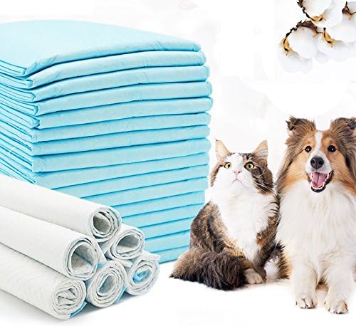 amazon empapadores perro