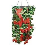 Upside Down Vertical Strawberry & Herb Gardening Grow Bag Planter - Organic Watering System - As Seen On TV