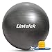 Lintelek Exercise Ball with Quick Foot Pump, Professional Grade Anti Burst Stability Ball for Yoga, Fitness, Balance, Core Strength, Work Chairs, Gym, Home 65cm