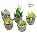 Artificial Succulents Plants,Fake Potted Cactus Faux Cacti Green for Home Indoor Decoration Set of 5